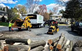  Lake Isabella, MI Tree Removal and Landscaping Services Pros